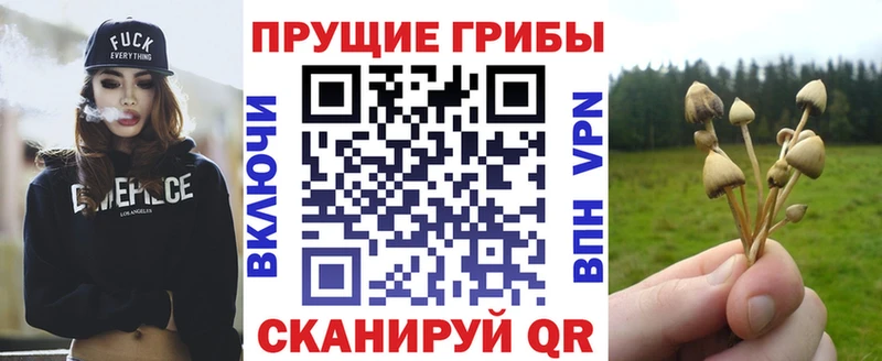 Галлюциногенные грибы прущие грибы  Челябинск 